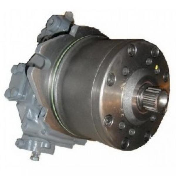 Piston cylindre de frein récepteur hydraulique AV RENAULT RVI TRUCK BERLIET #1 image