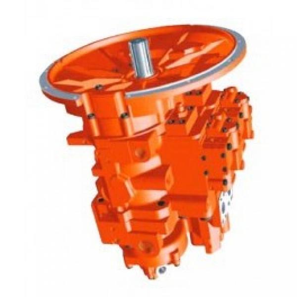 0742972101 Pompe hydraulique pour Komatsu ® (07429-72101) #1 image