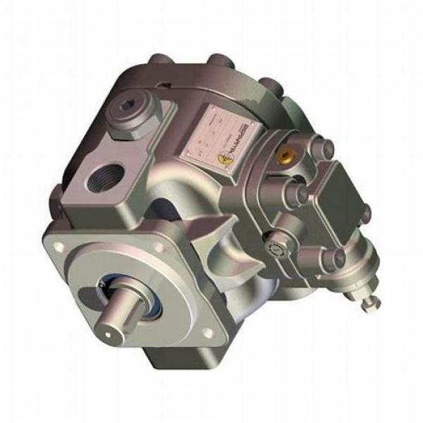 pompe à essence Hyundai ATOS 1 3111005000  43 kW 58 HP 03378 (Compatible avec : Atos) #1 image