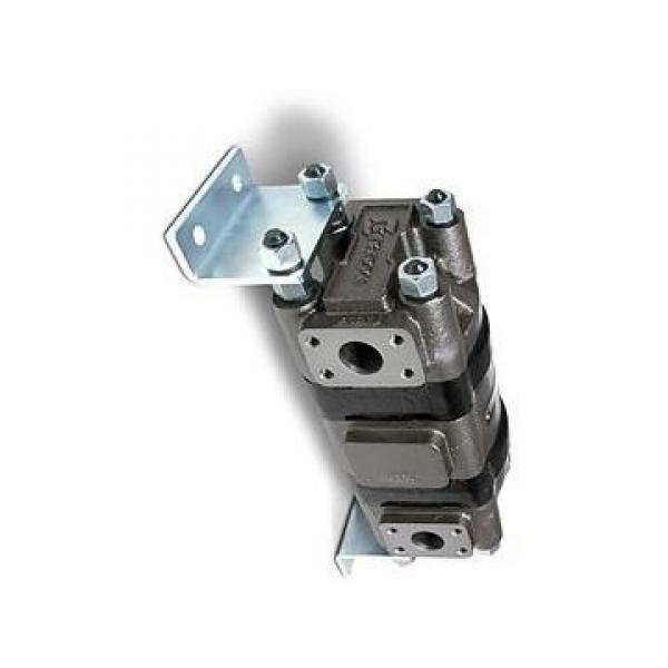 Delphi Pompe Module Réparation Kit DEL38-K9130 Pour Hyundai Atos 00-04 #3 image