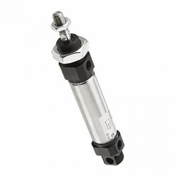 PARKER Light Duty cylindre hydraulique 1" Alésage 125 mm AVC CH 3 LGCS 24MC-M1100 #3 image